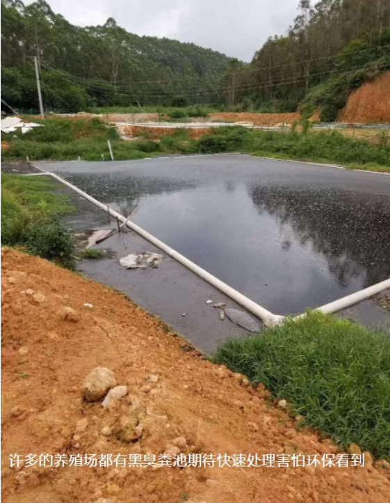 環保新政策出臺,政策依舊收緊,養殖戶要注意這幾點以及解決對策 環保新政策出臺,政策依舊收緊,養殖戶要注意這幾點以及解決對策