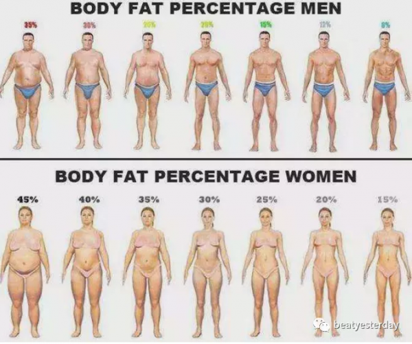 關於慢跑的不完全手冊之三馬甲線與8塊腹肌的奧秘