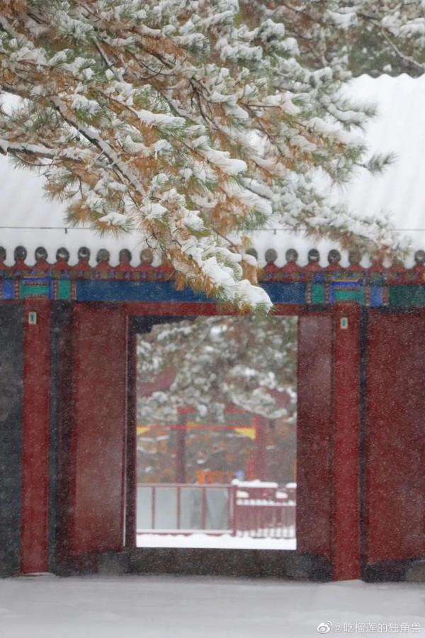 「雪後美景」想把“熱河行宮的冬”送給你