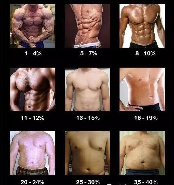 關於體脂的真相，看完讓你吃得更安心