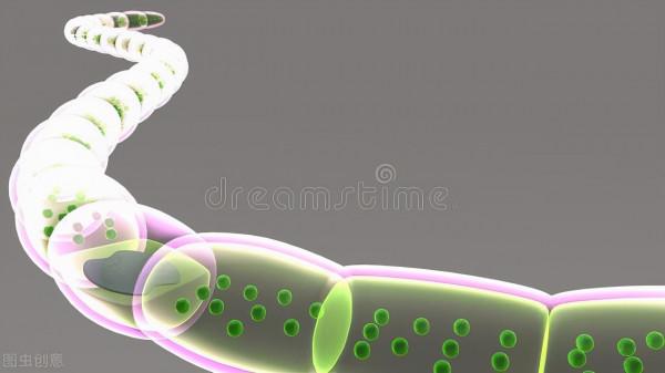 宋宵因從吃到用瞭解酶42世界上量最大的蛋白質是生物酶 宋宵因從吃到用瞭解酶42世界上量最大的蛋白質是生物酶