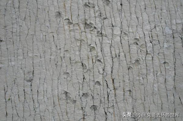 玻利維亞，滄海桑田的恐龍王國