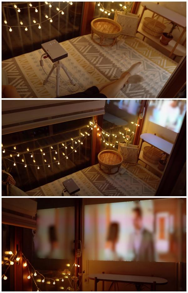 一人一狗，獨居生活有條有序，要是沒結婚，我也想過這樣的生活