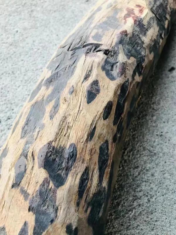 這根普普通通的木頭，竟然價值破萬？這就是紫檀啊