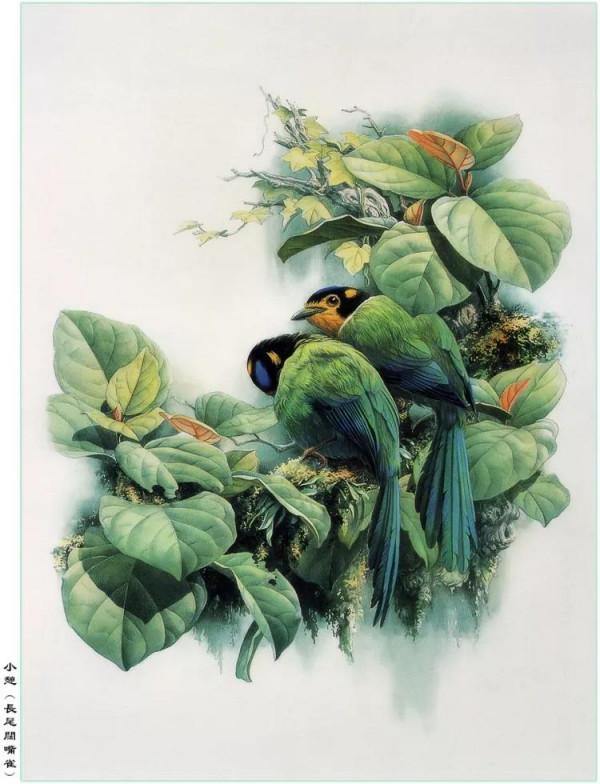 中國動植物畫第一人，曾孝濂極品工筆畫