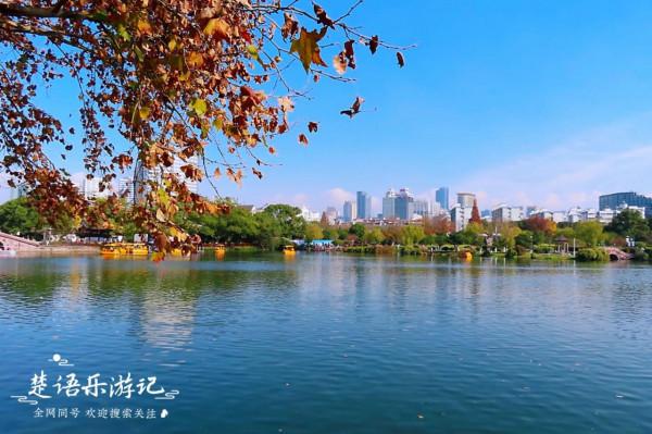 身為5A景區卻堅持免費,秋色斑斕到處如畫,寧波這個景點讓人驚豔 身為5A景區卻堅持免費,秋色斑斕到處如畫,寧波這個景點讓人驚豔