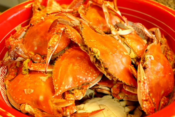 小鎮中秋丨打月餅！做花燈！國風華服遊園會！四盤八碗團圓宴！