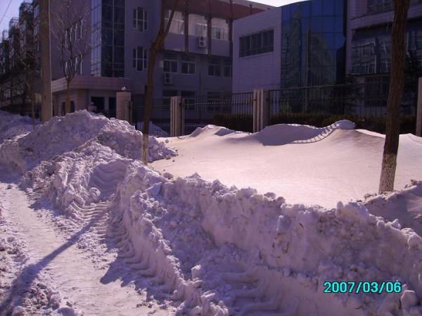 瀋陽特大暴風雪脫險記
