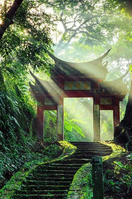 特別漂亮的路風景分享