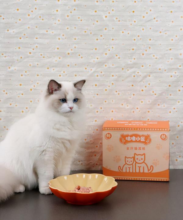 寵物新銳品牌“咕嚕小匠”:線上線下齊共振,多方位觸達使用者 寵物新銳品牌“咕嚕小匠”:線上線下齊共振,多方位觸達使用者