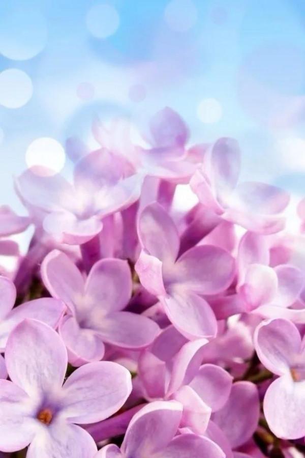 從指縫中，溜走的三天