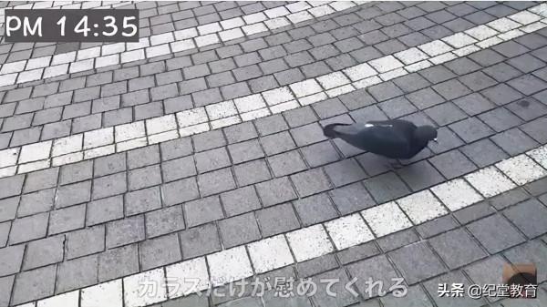 當代社畜現狀：每月加班130小時，凌晨4點睡覺，早上6點上班...