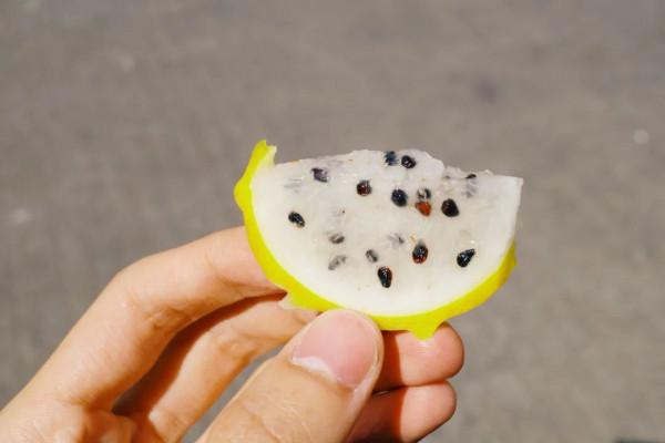 在這裡我毫不焦慮，還實現了水果自由