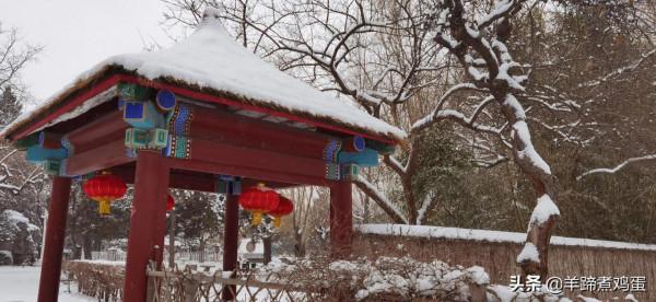 難覽觀園全畫景 雪覆臘梅一隅香&mdash;&mdash;踏雪尋遊北京大觀園