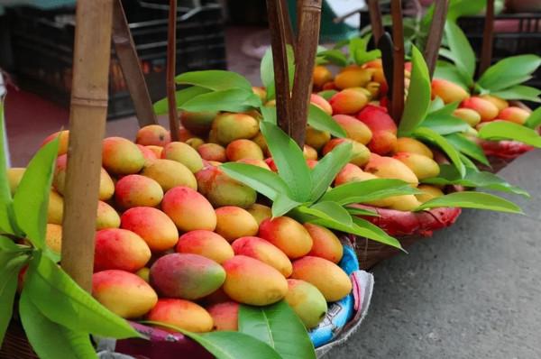 雲南3個美麗的低調小城,冬天暖陽物美價廉,北方人過冬的好地方 雲南3個美麗的低調小城,冬天暖陽物美價廉,北方人過冬的好地方