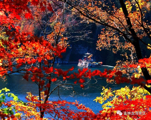 秋天,龍灣是一個好去處 秋天,龍灣是一個好去處