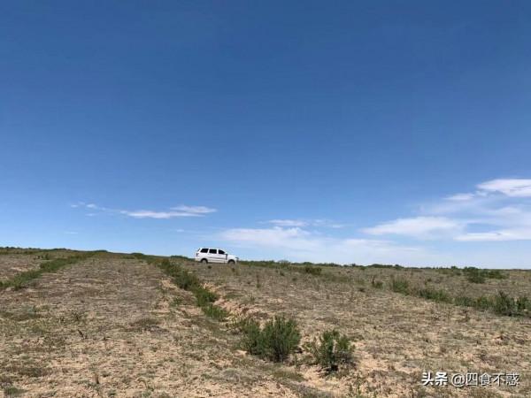 “內蒙古姐夫”帶我吃遍鄂爾多斯美食