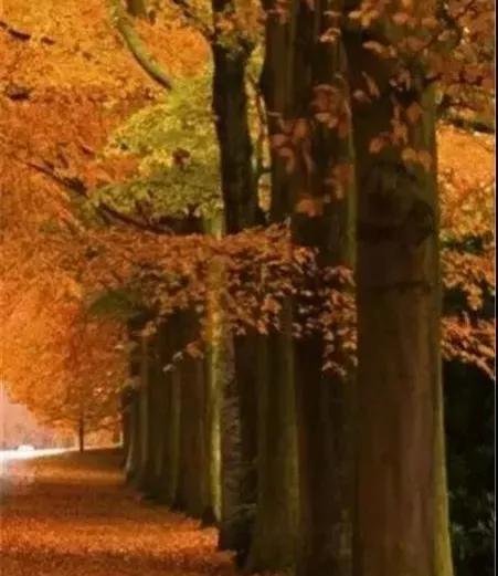 專注有恆,必有收穫 專注有恆,必有收穫