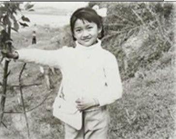 周迅早年證件組照引網友熱議：五官精緻！眼神靈動