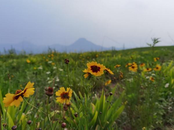 崮鄉地貌全世界罕見，那些奇特的山頭，藏著地球怎樣的秘密？