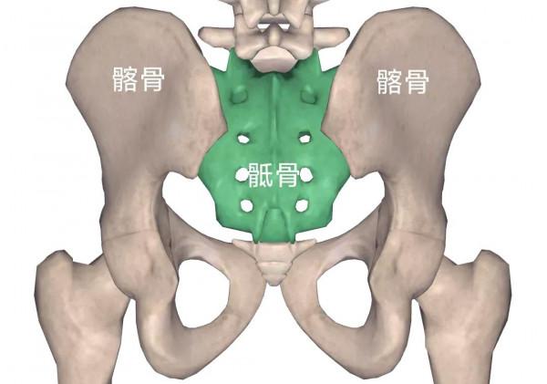 容易被誤診的“腰痛”——骶髂關節炎