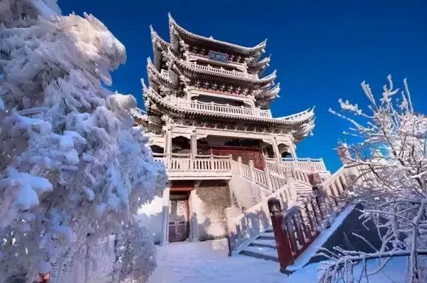 新疆霧凇,這才是完美冬天的開啟方式,真正的冰雪王國... 新疆霧凇,這才是完美冬天的開啟方式,真正的冰雪王國...