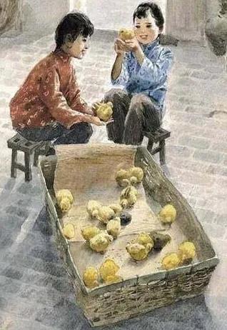 小英子的故事 小英子的故事