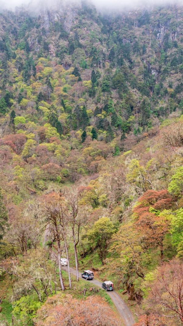 越野房車自駕遊，真的絕了