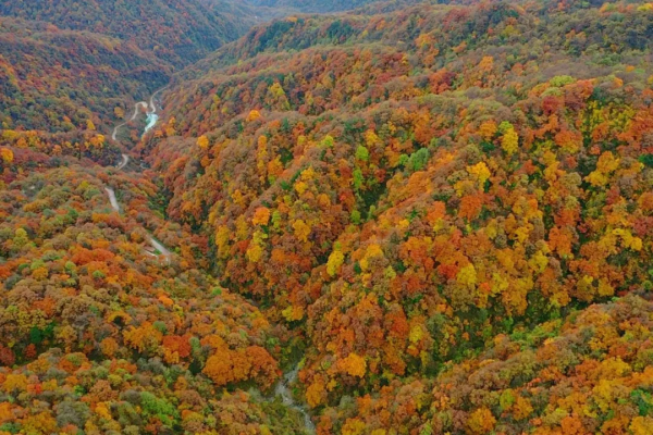 火速圍觀！新華社等多家媒體爭相報道雲端上的絕美秋色