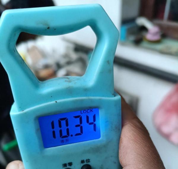 《2022元旦釣魚記》狂拉鯽魚17斤，絕密稍後公佈