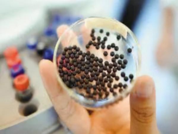 常吃速效救心、麝香保心、腦心通、參松養心、穩心顆粒有何影響？