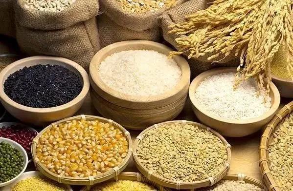 想要瘦下來就吃抗餓食物，秋冬季抗餓食物排行榜，你知道該吃啥嗎