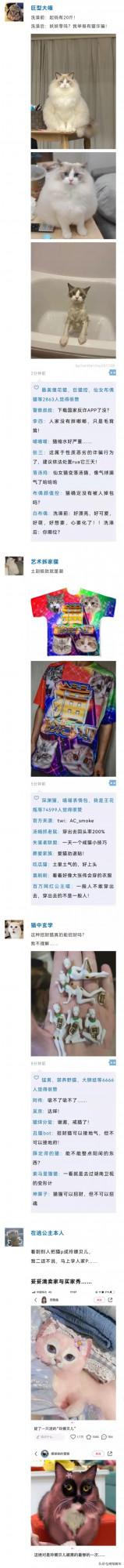 把貓P成玲娜貝兒，有億點點醜…（內附醜圖）