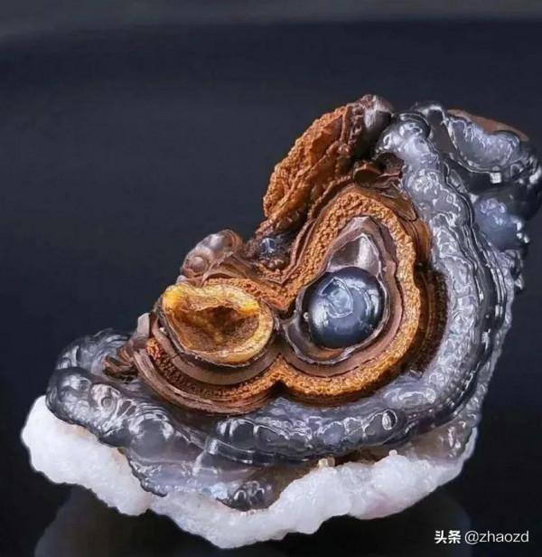 逼真的象形猴奇石 逼真的象形猴奇石