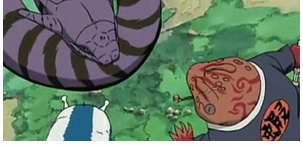 火影中看看哪些奇葩的坐騎，最喜歡哪一個啊