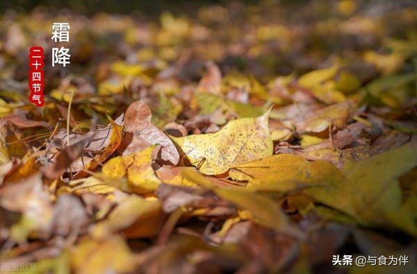 明日霜降，推薦5種羊肉做法，好吃滋補又禦寒，順利過渡秋到冬