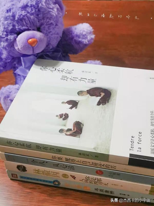 好書分享｜林清玄作品《你心柔軟 卻有力量》