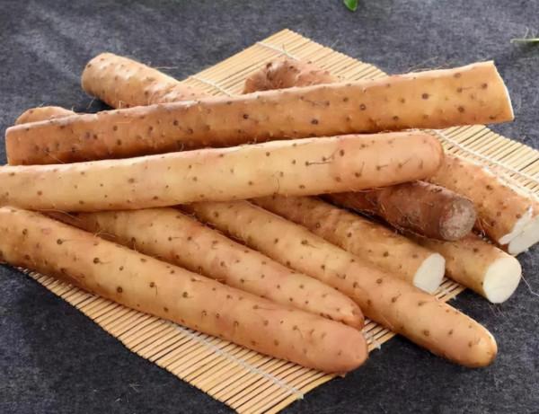 山東一對夫妻雙雙查出胃病,醫生提醒:常吃這3物,對胃好 山東一對夫妻雙雙查出胃病,醫生提醒:常吃這3物,對胃好