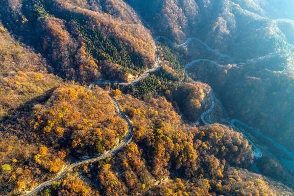 安徽又又又又又紅了 安徽又又又又又紅了