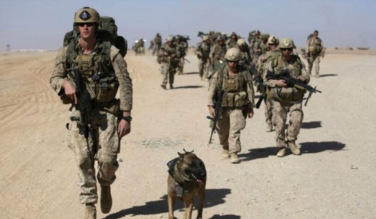 金燦榮:美國軍隊的腐敗一般國家想象不到 金燦榮:美國軍隊的腐敗一般國家想象不到