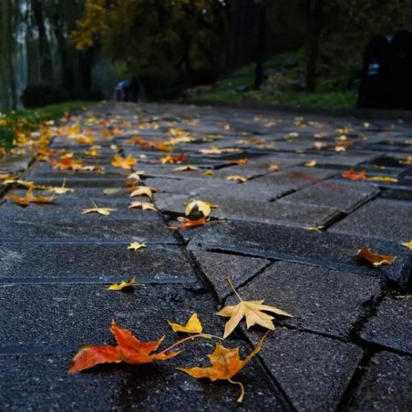 中國古詩中的“雨”（三）（續上）