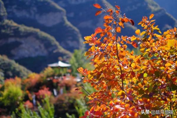 如果沒有疫情，此刻我勸你一定要去一趟北京...