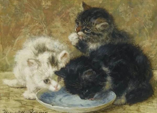 100年前她畫了超多貓，姿態萬千，惟妙惟肖