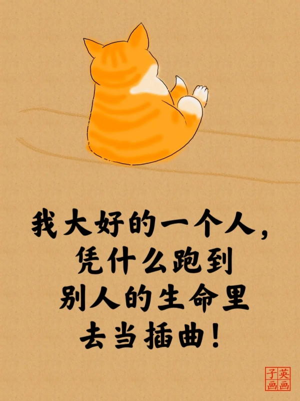 2022經典睿智的貓言貓語人生哲理大全