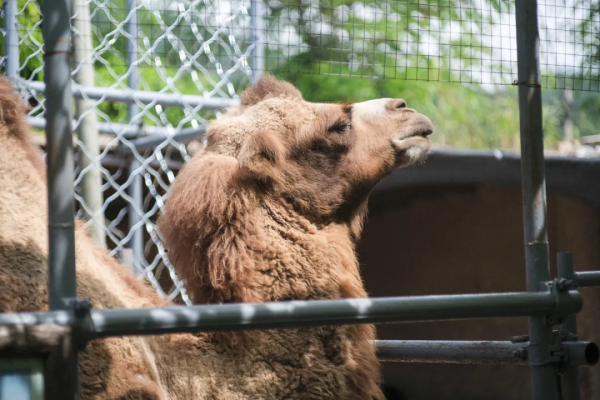 好吃,好玩,好看!京郊避暑勝地居然還有這麼有趣的地方! 好吃,好玩,好看!京郊避暑勝地居然還有這麼有趣的地方!