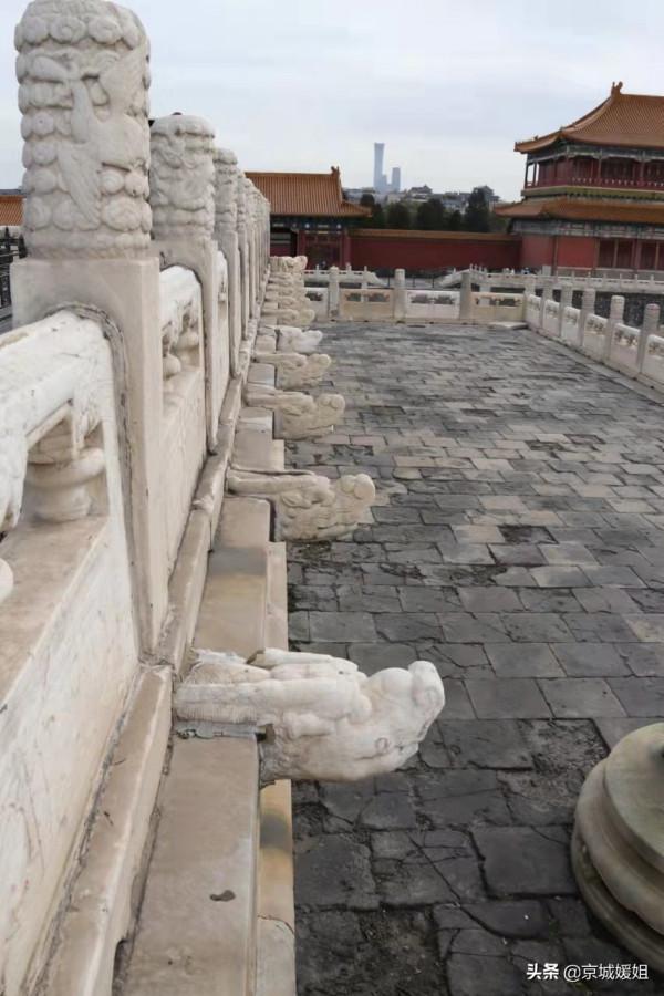 故宮裡的動物大盤點,您都知道他們的來歷嗎? 故宮裡的動物大盤點,您都知道他們的來歷嗎?