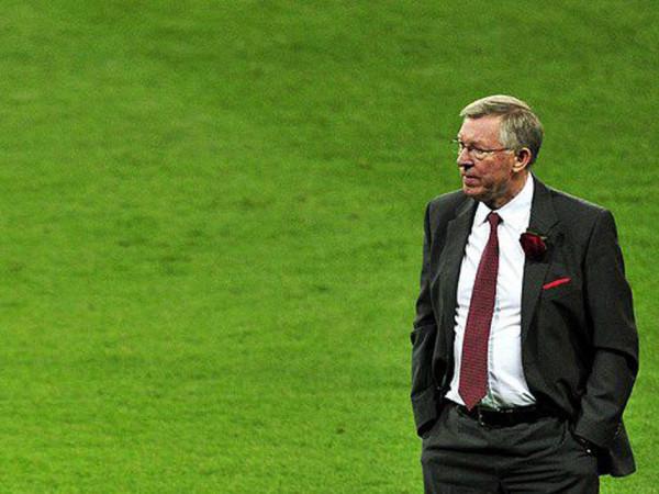 最近為足球迷提供的紀錄片 最近為足球迷提供的紀錄片