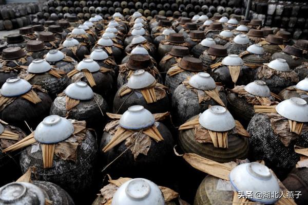 冬至北方人吃餃子，南方人都會吃什麼呢？太豐富，看完漲知識了