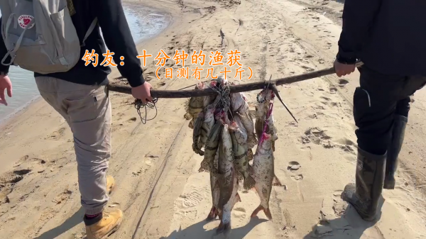 10分鐘釣幾十斤鱖魚、翹嘴魚?江西釣友曬漁獲引熱議 10分鐘釣幾十斤鱖魚、翹嘴魚?江西釣友曬漁獲引熱議