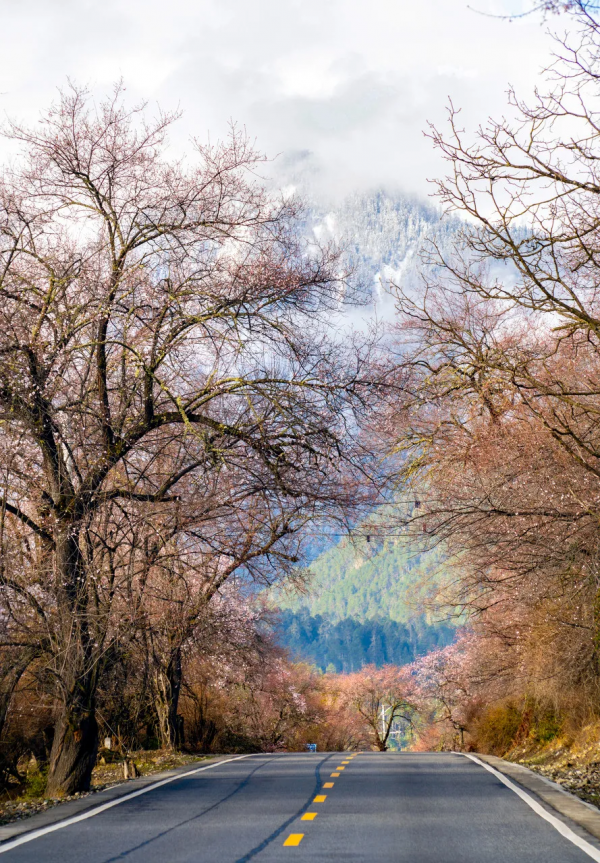 預測！2022必火的自駕旅行清單！先收藏